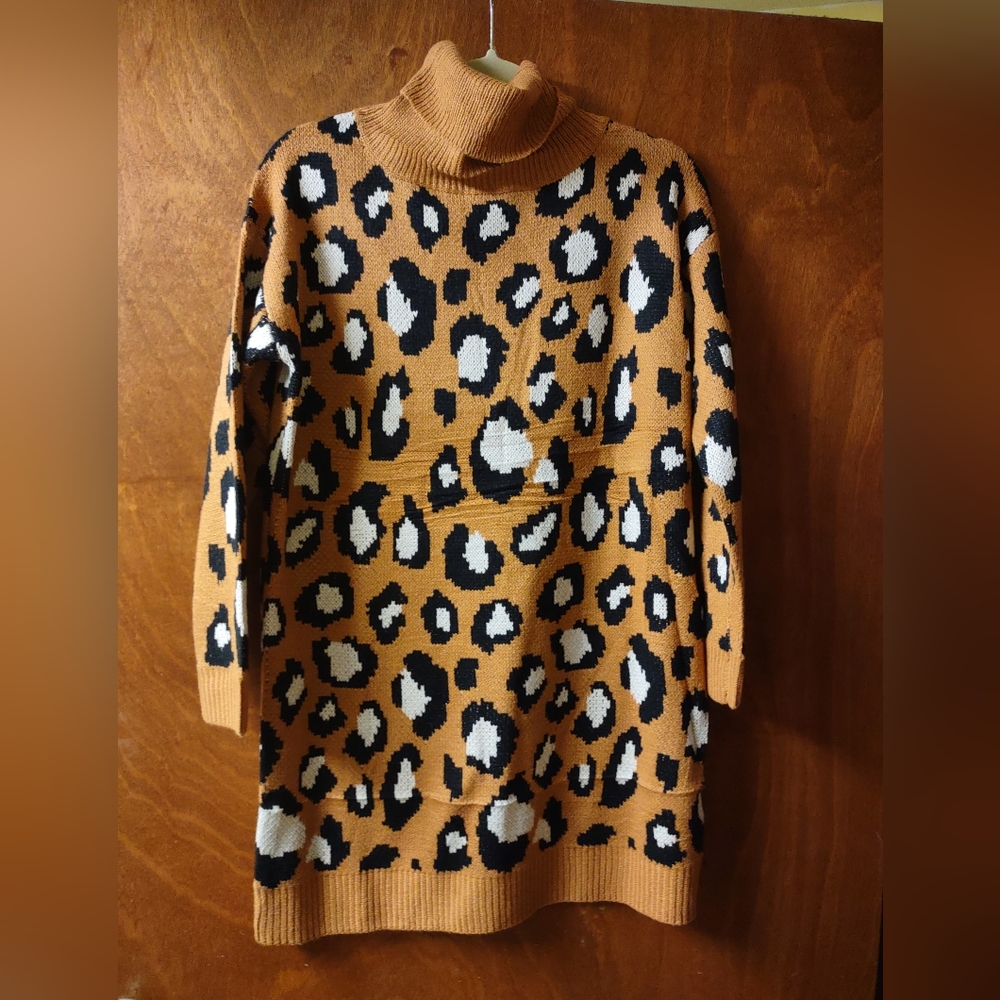 Sweater dress from The Mint Julip boutique